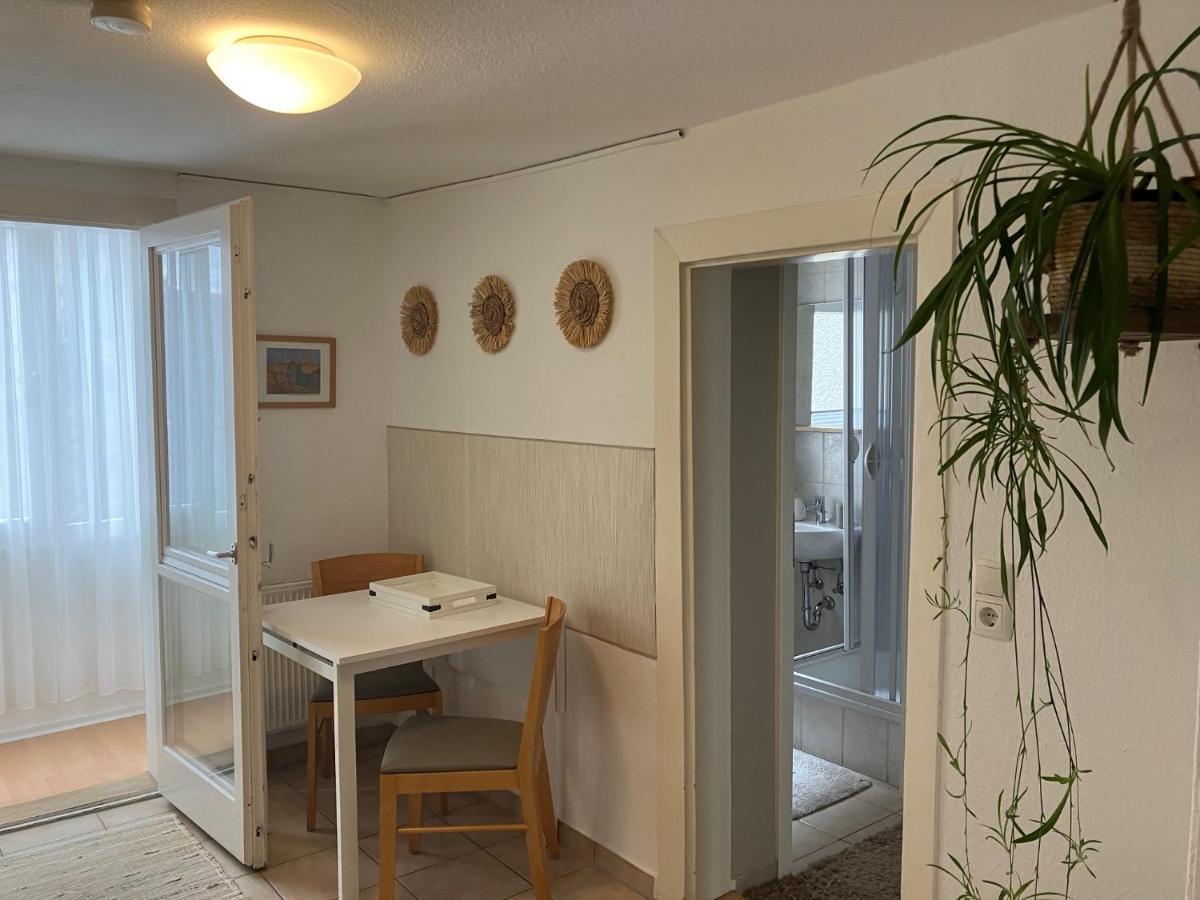 Appartamento Enz Bietigheim-Bissingen Esterno foto